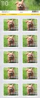 Bogen Süsse Tiere - Hund**