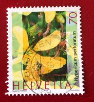 Nr.1073 Echtes Johanniskraut Pflanzen GESTEMPELT 2003    