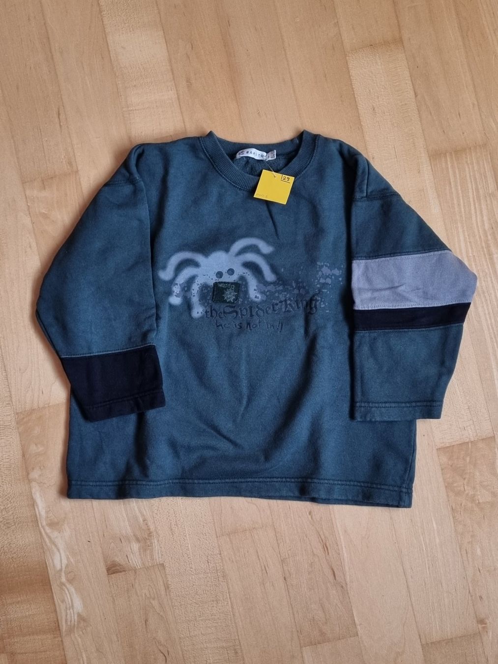 Lotti & Set di vestiti: Pullover 5 Stk., Gr. 104 (P001-P005) – Usato da Schmitten FR venduto da giba11 4