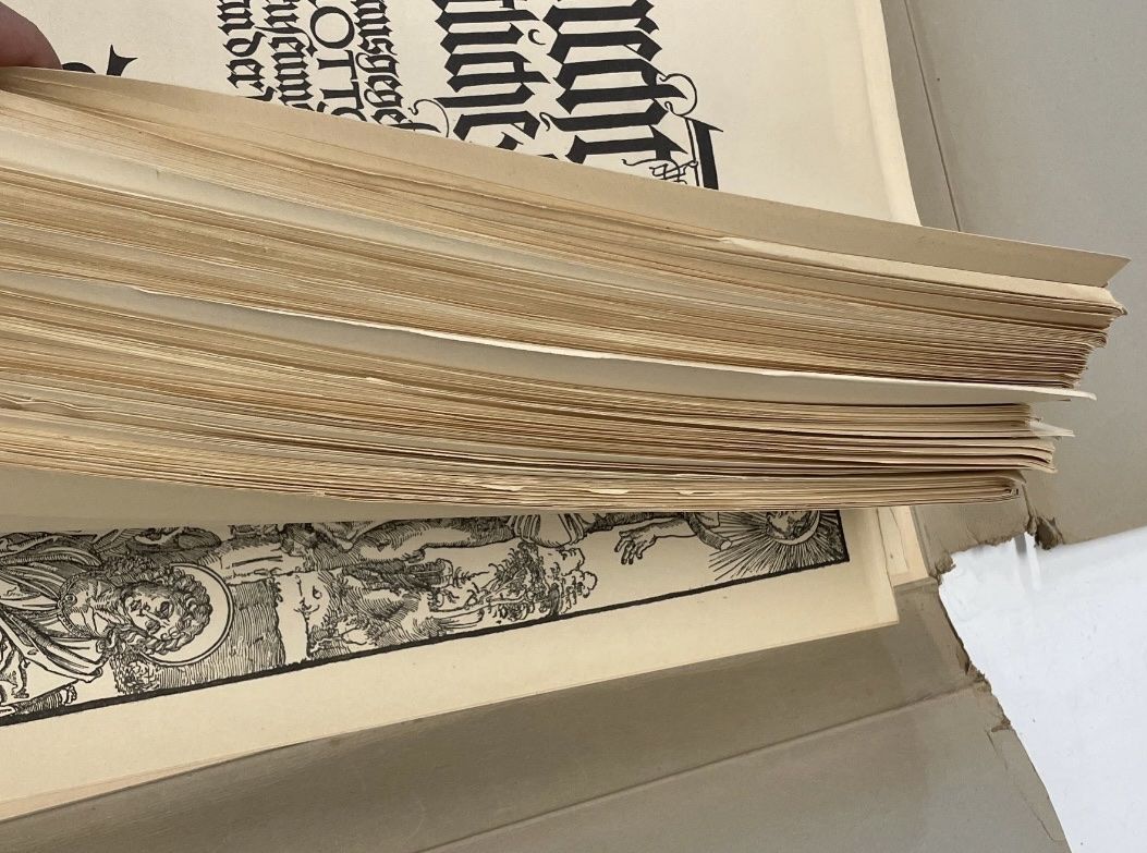 Libri: Albrecht Dürer – Usato da Lausanne venduto da laollie1974 1