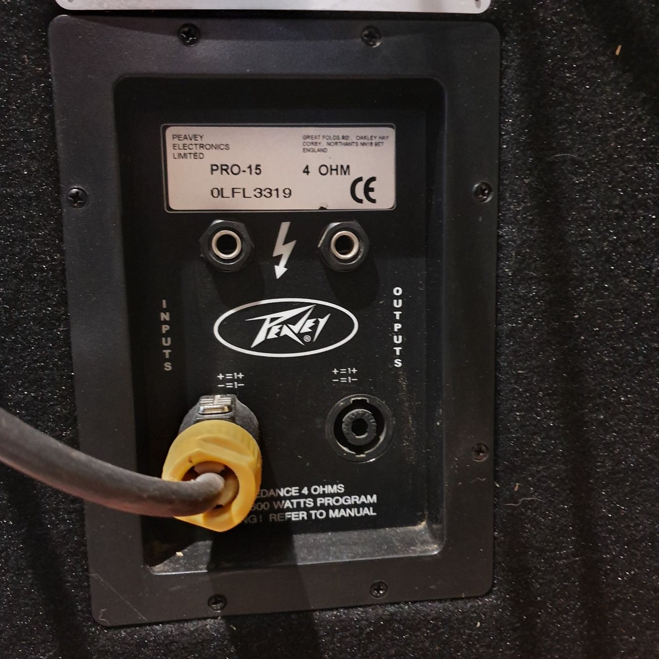 Peavey Verstärker: PA-Endstufe mit Peavy Lautsprechern – Gebraucht aus Sachseln von showa4 3