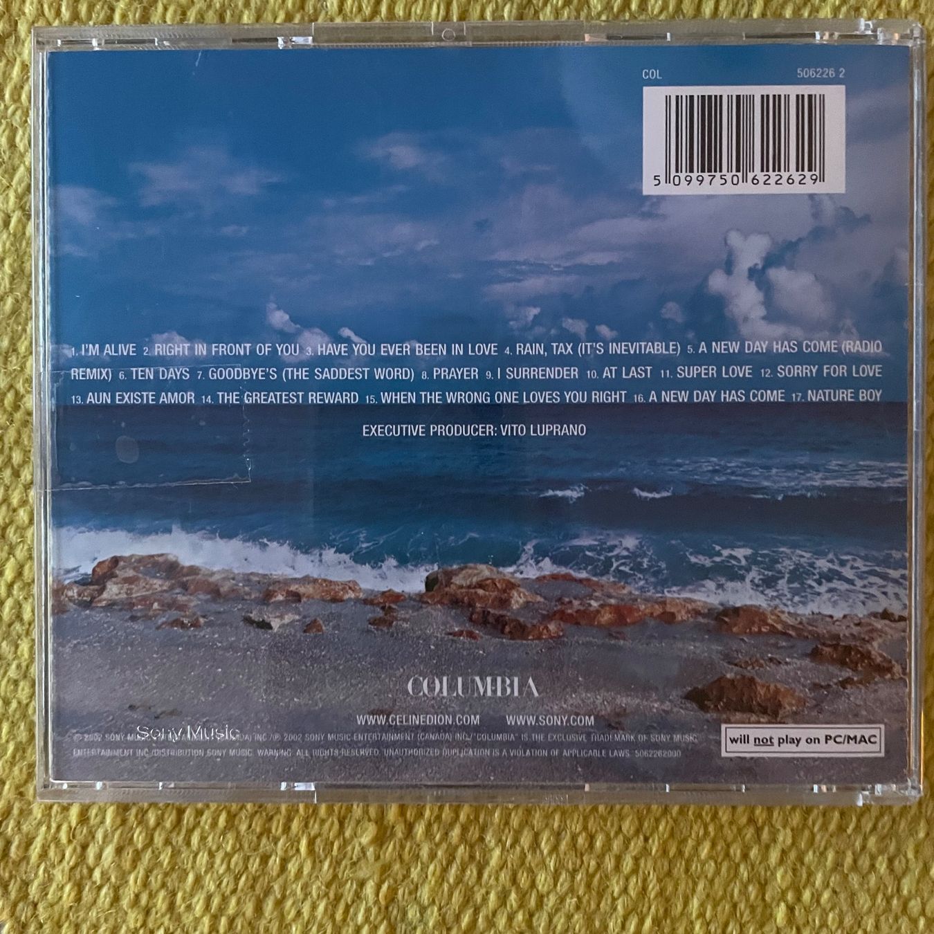 CD: CÉLINE DION-A NEW DAY HAS COME – Usato da Rorschacherberg venduto da CD-Roli 1