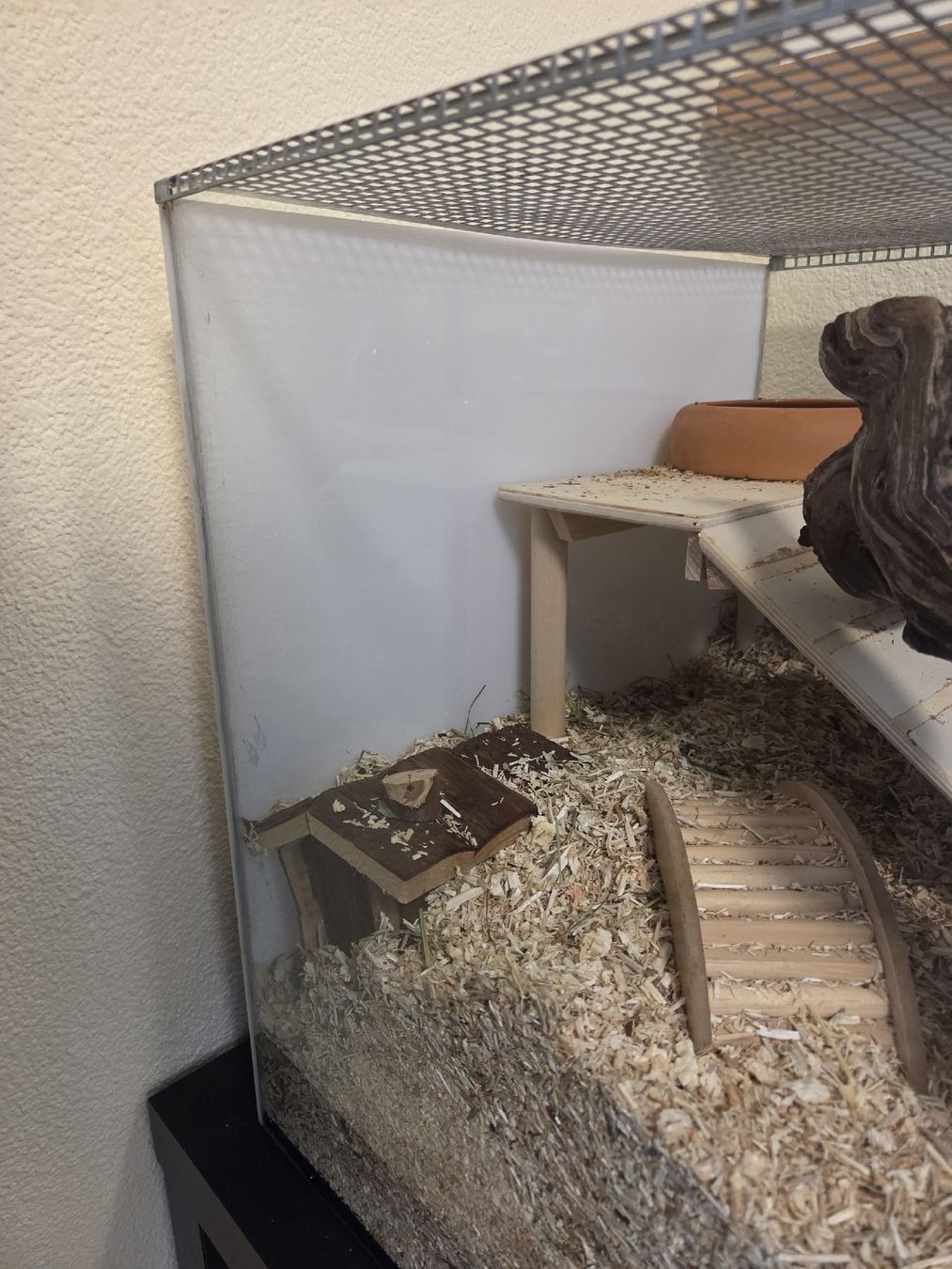 Terrario: Kleintierkäfig / Terrarium – Usato da Uetendorf venduto da mml_9xjd 3