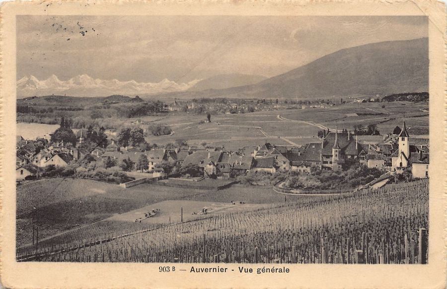 Cartoline postali: Auvernier, vue générale, circulée 1917 – Usato da Frauenfeld venduto da POML