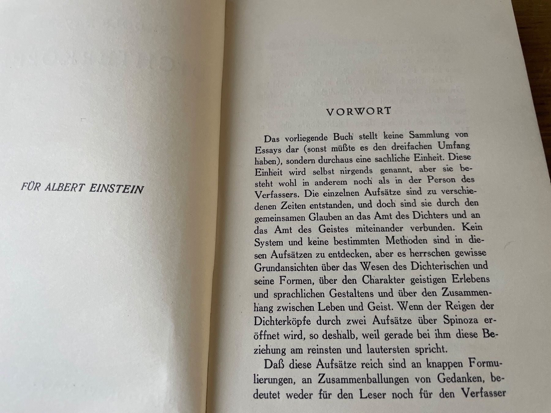 Libri: Antikes Buch: Dichter Köpfe - Rudolf Kayser 1930 – Usato da Winterthur venduto da cheerio97 4