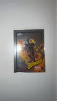 Sammelkarte Marvel Topps Chrome Ghost Rider neuwertig