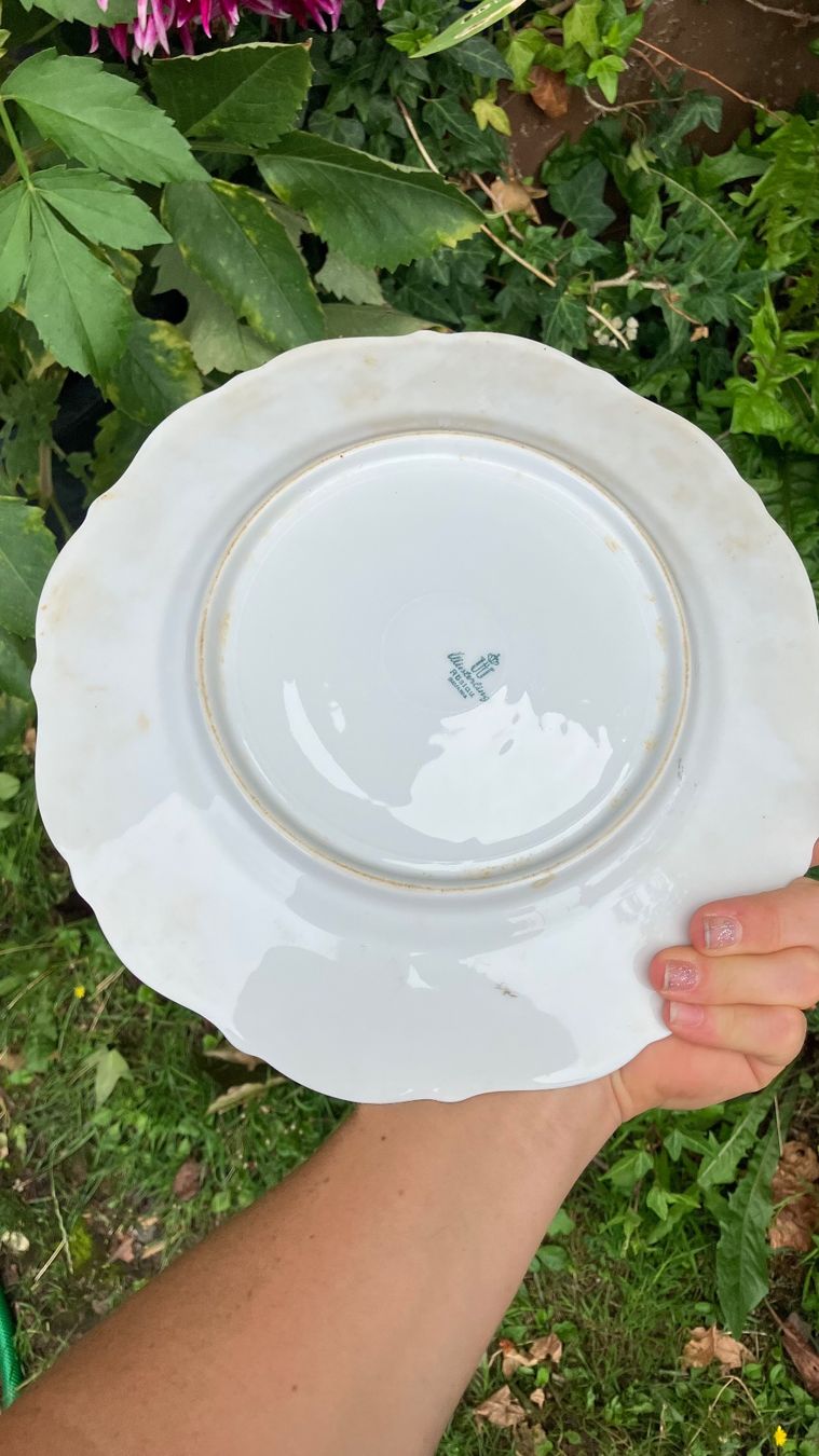 Piatti: Assiette Général Guisan Teller – Usato da St-Cierges venduto da LeRegain 4