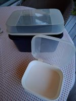 Tupperware Behälter 2 Stück 