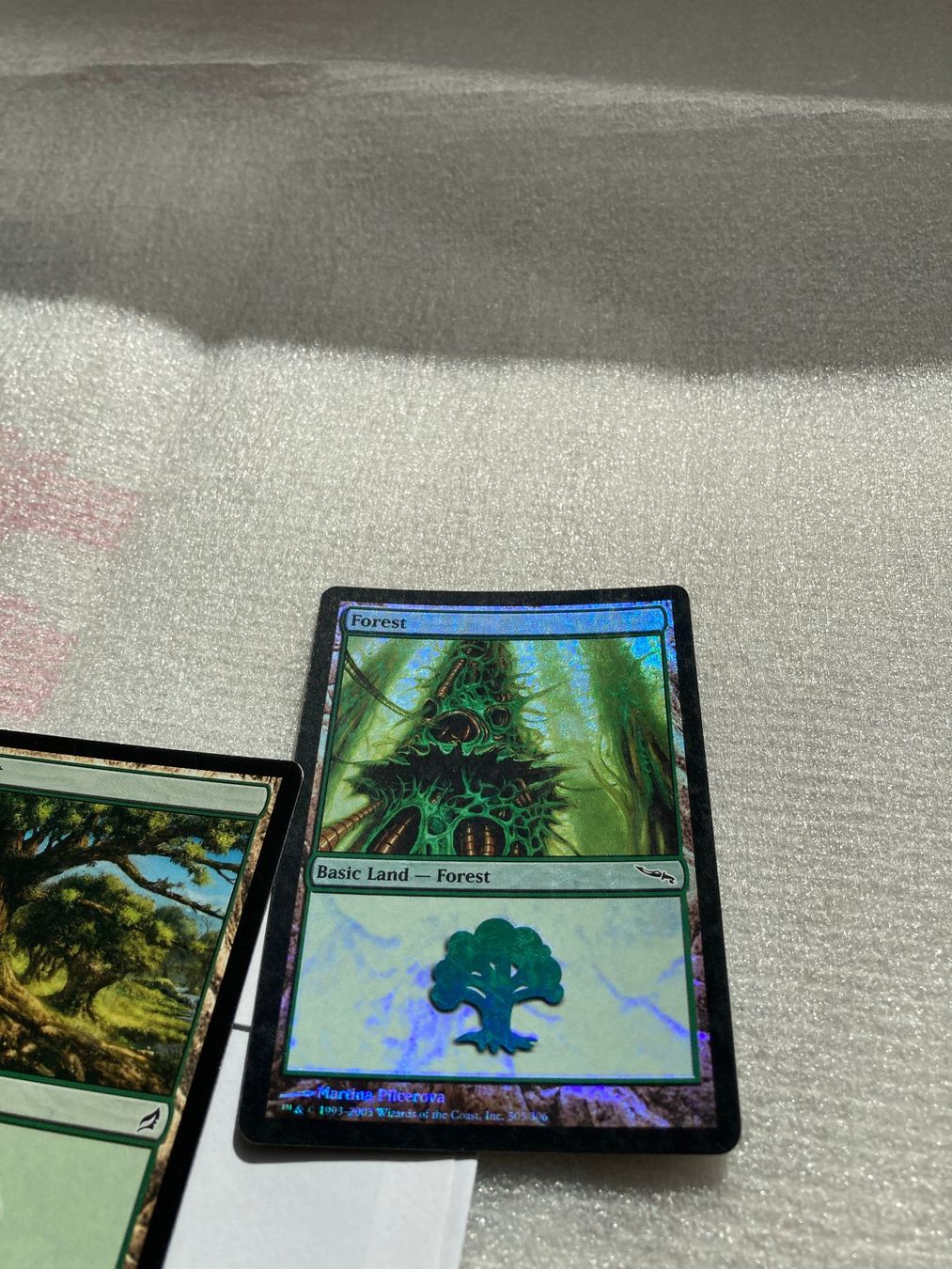 Magic The Gathering Cartes à collectionner: Magic The Gathering Forest – D'occasion à Horgen par Goros 1