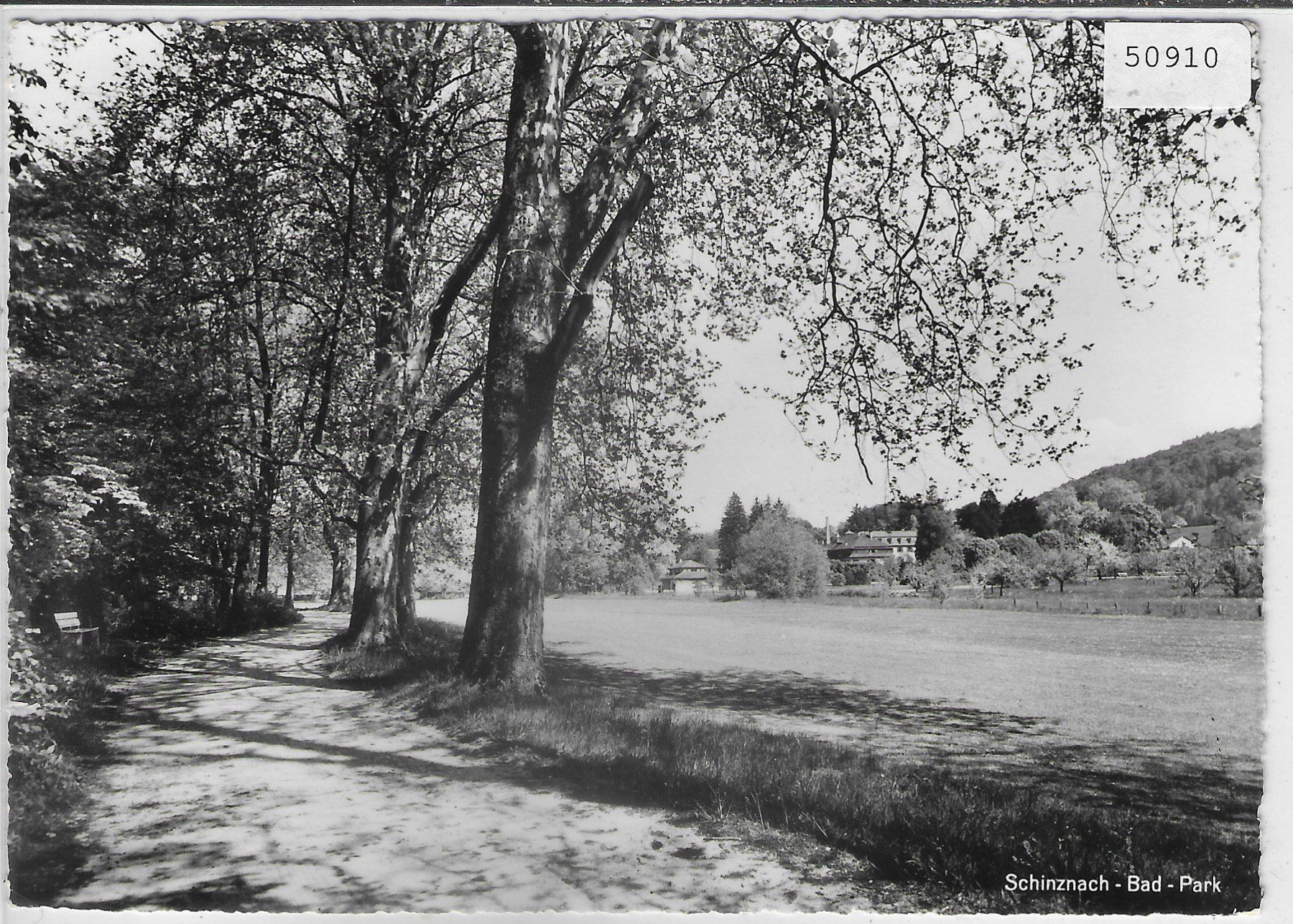 Cartes postales: Schinznach-Bad - Park – D'occasion à Ettingen par Kartenplanet