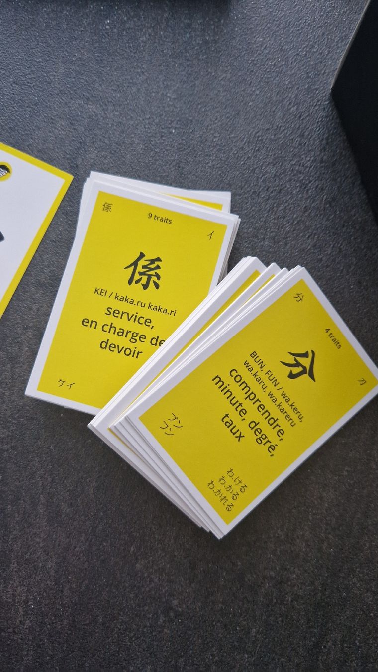 Libri: le japonais pour les nuls – Usato da altishofen venduto da Nippo 5
