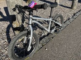 Early Rider 16"