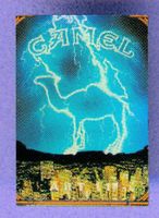 CAMEL  ART 11