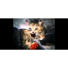 Profile image of izu_hhb9