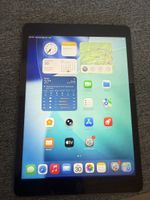 IPad 9. Generation 256GB