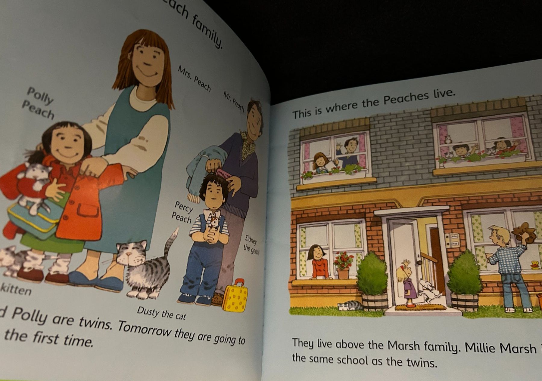 Libri: Buch English "Going to School" - Neuwertig – Usato da Küsnacht ZH venduto da filo_fila8700 3