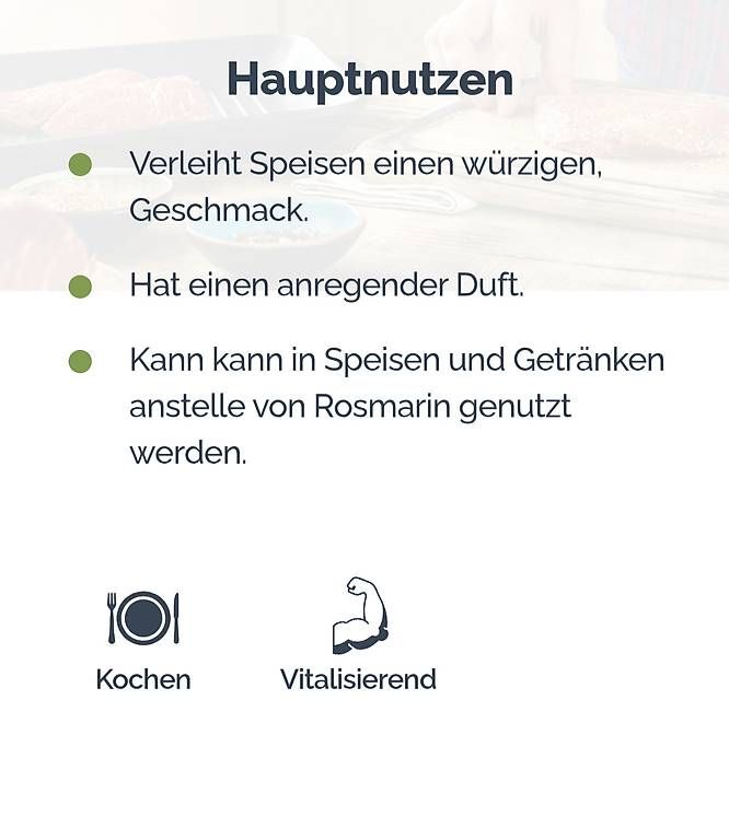 Doterra Oli essenziali: Dōterra Rosemary – Nuovo (secondo la descrizione) da Lyss venduto da Infinia 2