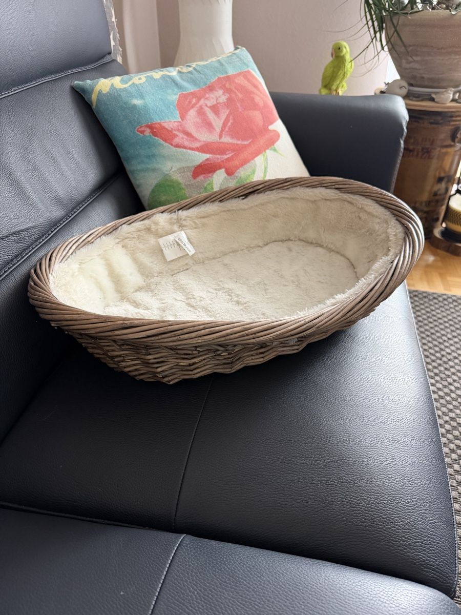 Trixie Cucce & Letti: Panier Trixie 55 X 38 x 15 – Usato da Dombresson venduto da feline_ne