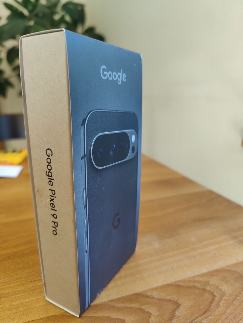 Google Portables: Google Pixel 9 Pro 128GB – Neuf (Voir description) à Kriens par mum_6yvx