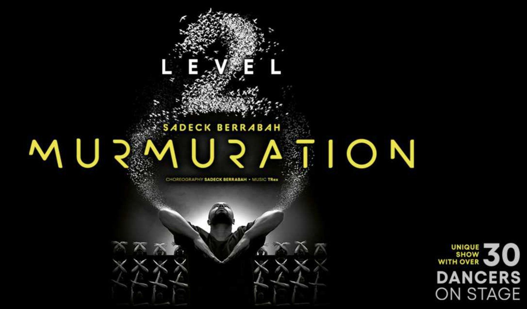 Biglietti: 2 E-Tickets Murmuration - Level 2 19.06.2026 ZÜRICH MAAG – Nuovo (secondo la descrizione) da Oberglatt ZH venduto da rdm_f6xk