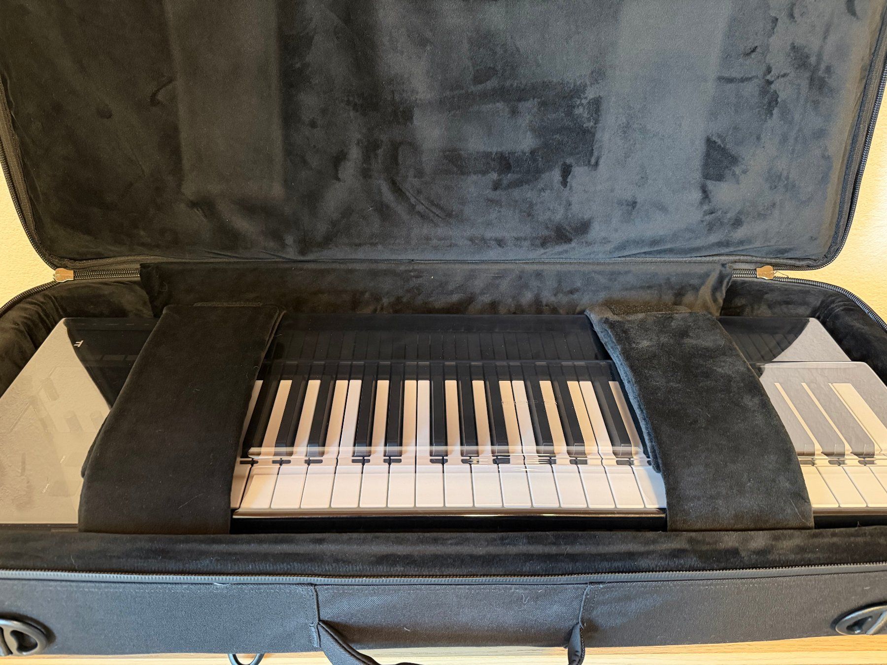 Strumenti musicali: Expressive E Osmose inkl. Softbag und Decksaver Cover – Usato da Langwiesen venduto da skitchy 4