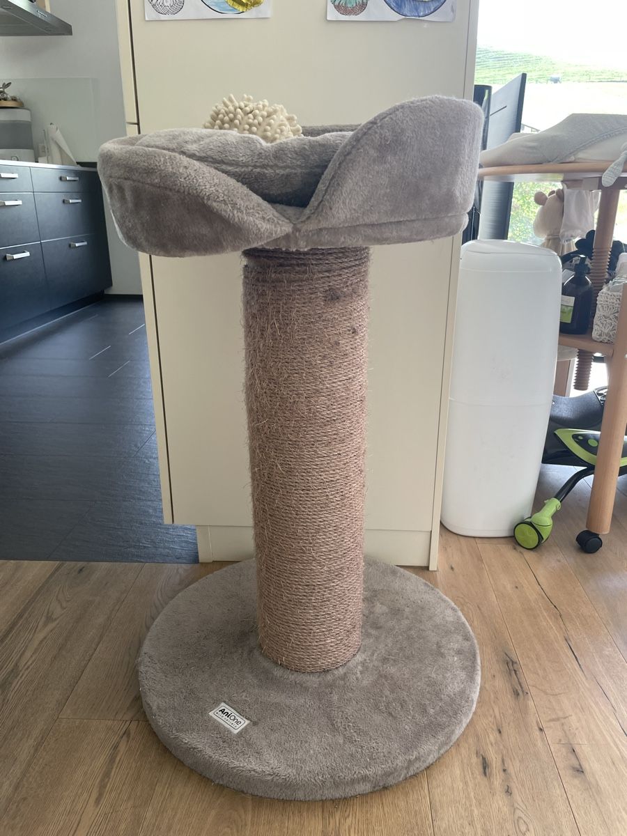 hunderampe sofa Hunderampen fr Sofa und Bett  Pawsbetter