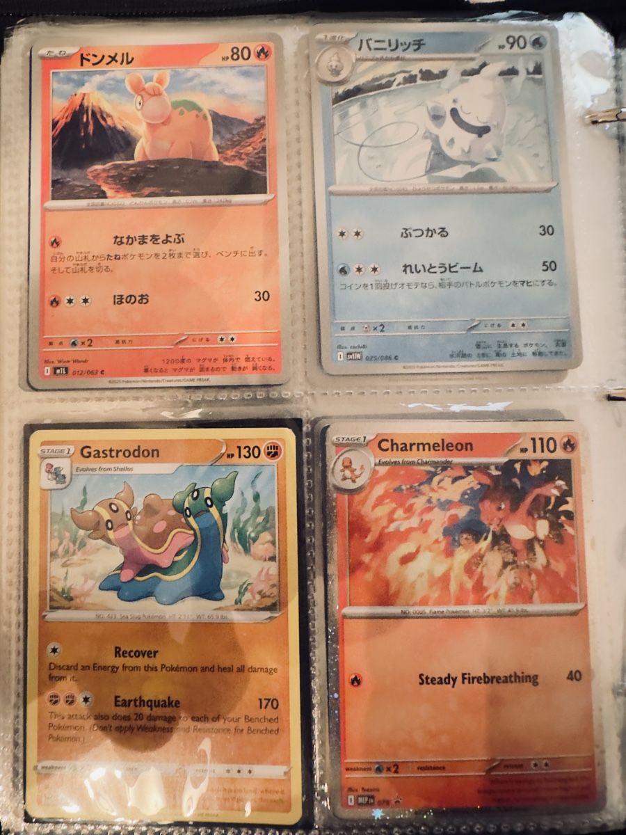 Pokémon Cartes à collectionner: Seltene Pokémon Karten: Gastrodon, Charmeleon, uvm. – Neuf (Voir description) à Rafz par Tueni1