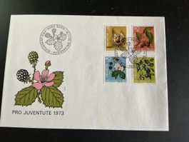 Ersttagsbrief Pro Juventute 1973 Bern mit vier Marken