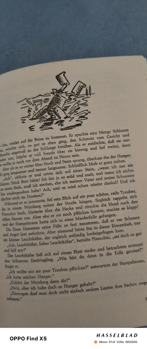 Libri: Pinocchio – Usato da Volken venduto da katz5 4