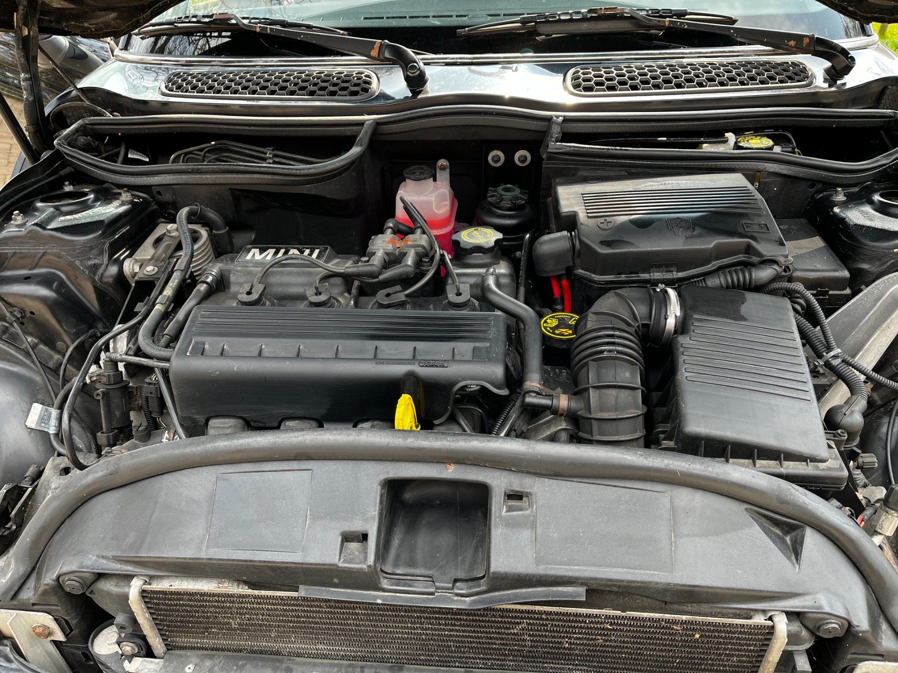 Mini Automobili: Mini Cooper 1.6 Jg. 2002 – Usato da Bern venduto da 9lxp2 3