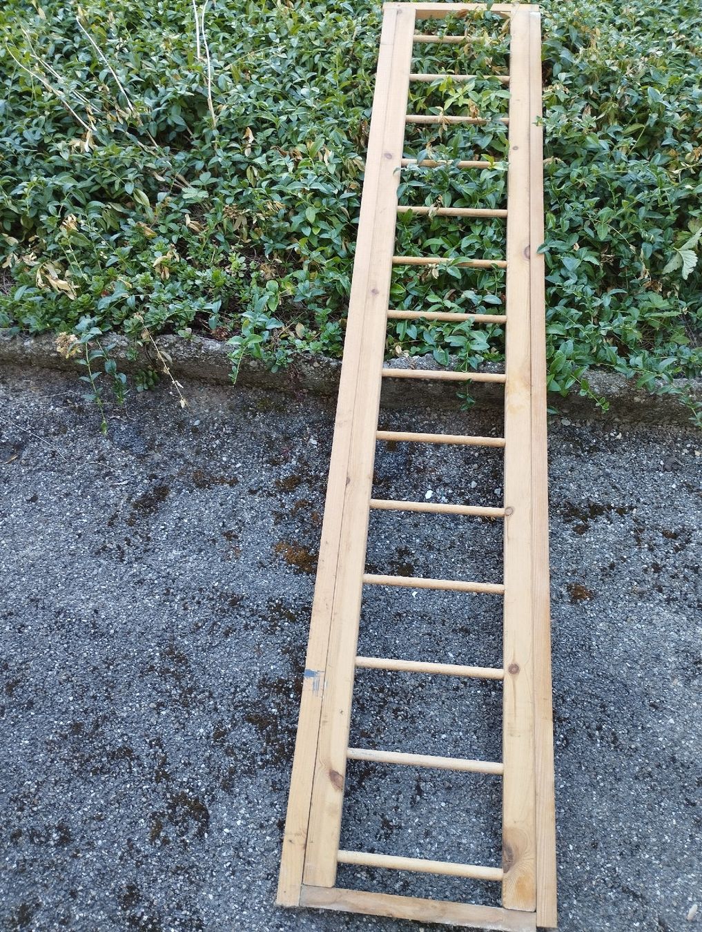 Echelles: Holzleiter Leiter natur – D'occasion à Ostermundigen par Dinge1