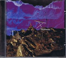 Late Of The Pier / Fantasy Black Channel
