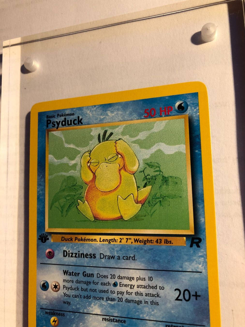 Carte collezionabili: Psyduck 1st Team Rocket - MINT - ab 1.- – Usato da Giubiasco venduto da dan_pr8b 3