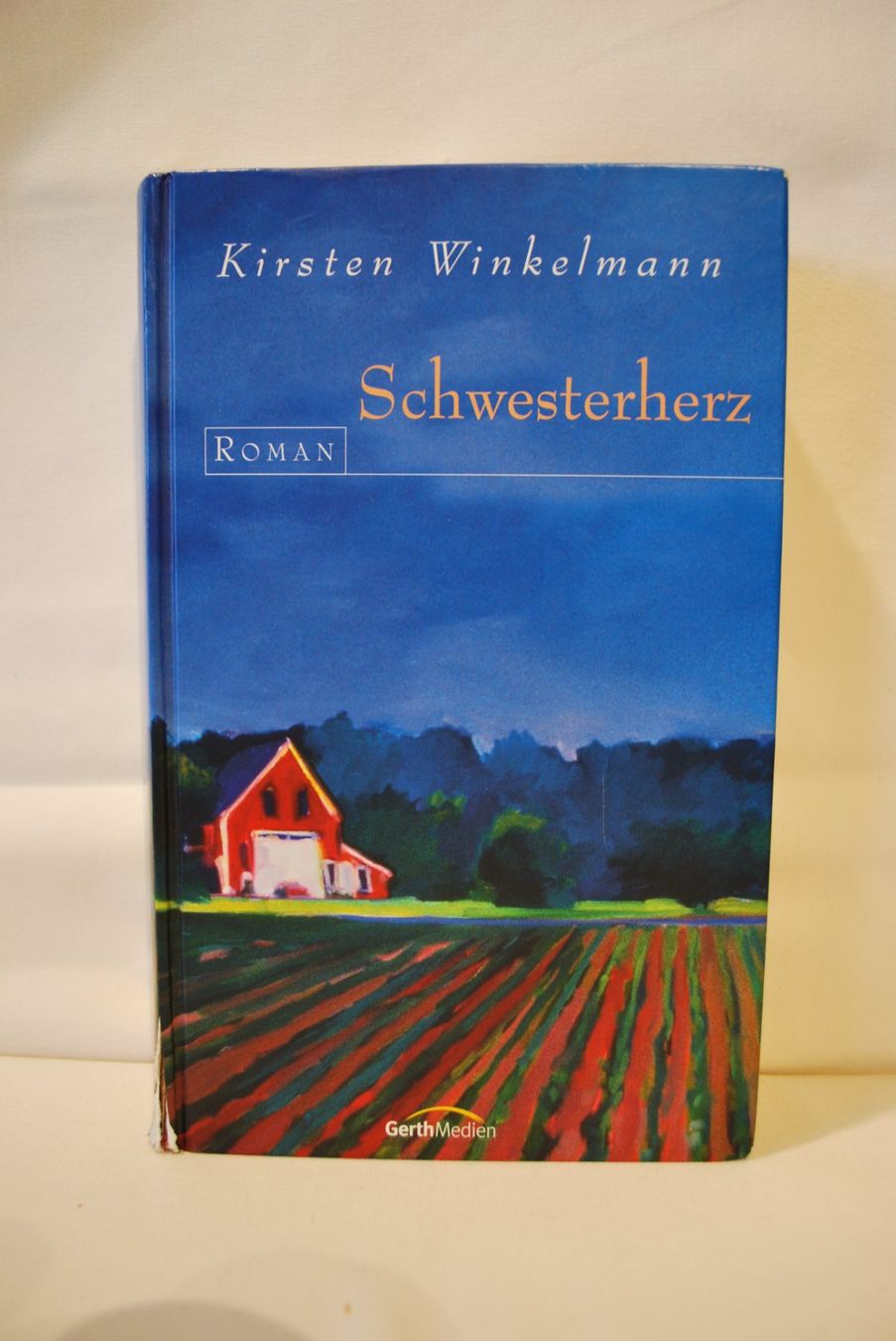 Libri: Kirsten Winkelmann 4 Romane – Usato da Alterswil FR venduto da Maylea01 5