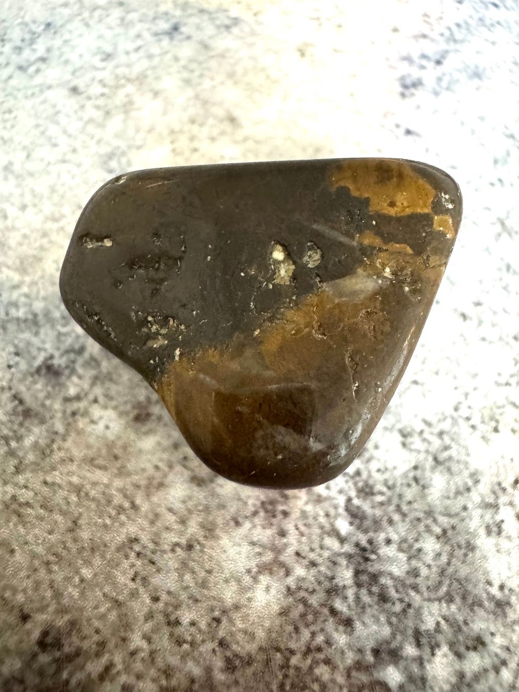 Minéraux & Lithothérapie: Versteinertes-Holzt – Neuf (Voir description) à Biberist par Steine