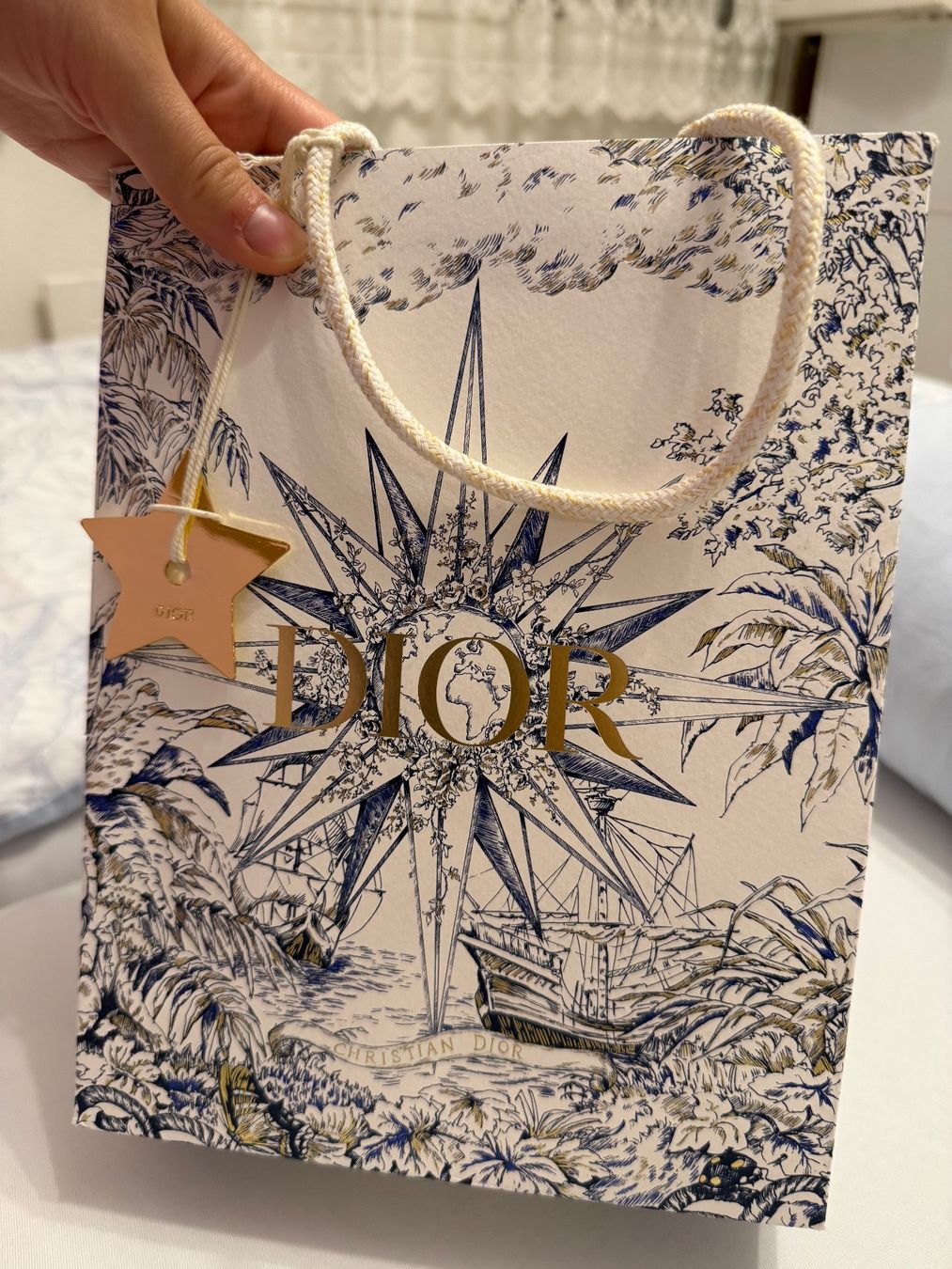 Dior Taschen: Dior Tasche - special edition – Neu (gemäss Beschreibung) aus Oberentfelden von mel_f97j