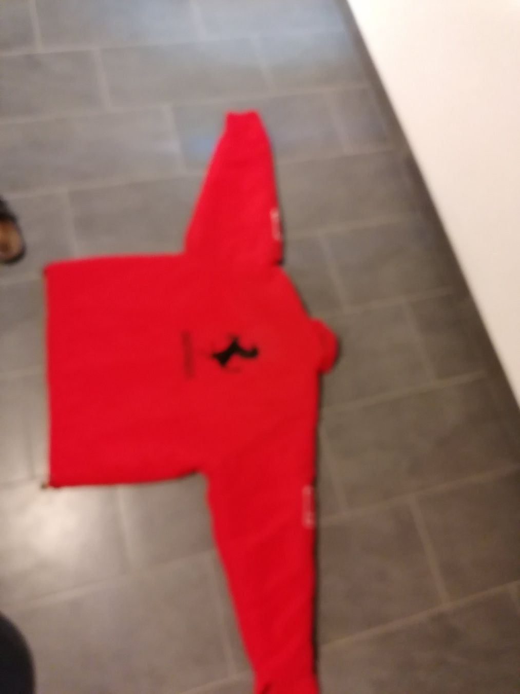 Vestes: Ferrari Jacke – D'occasion à Wünnewil par Susuki125gt 2