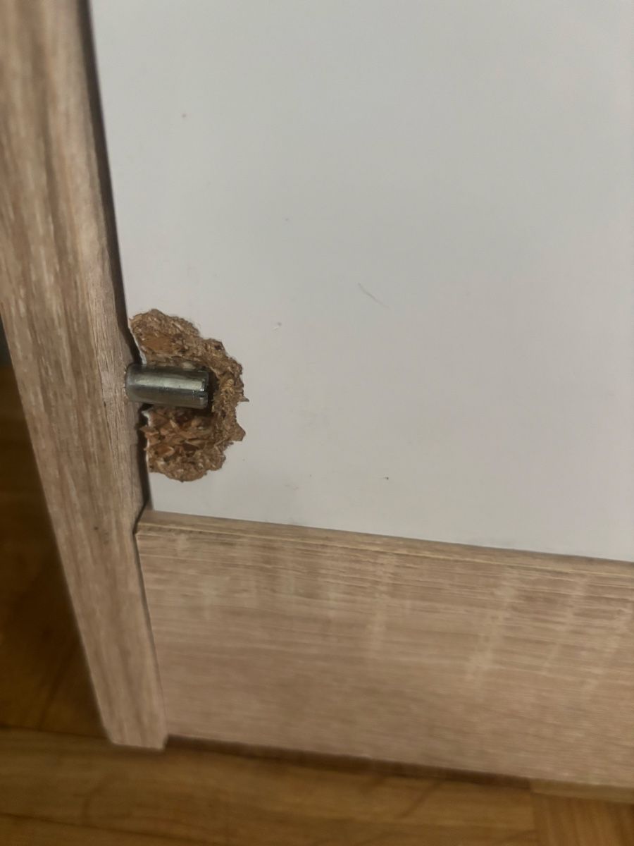 Armadi: Meuble à chaussures 3 compartiments blanc / bois – Usato da châtelaine venduto da SimeoniJ. 1