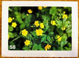 Migros Nature Detectives - Bild Nr. 58