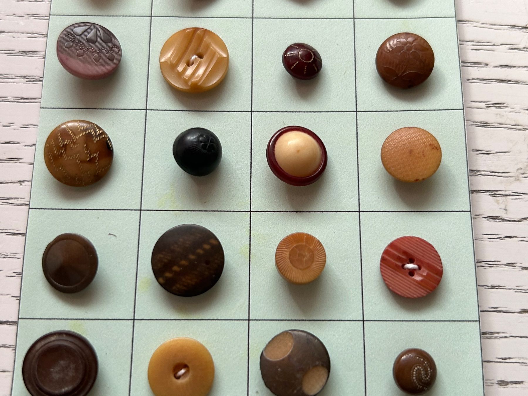 Bottoni: Steinnussknöpfe (Tagua Nut) – Nuovo (secondo la descrizione) da Pfeffingen venduto da Alusru70 1