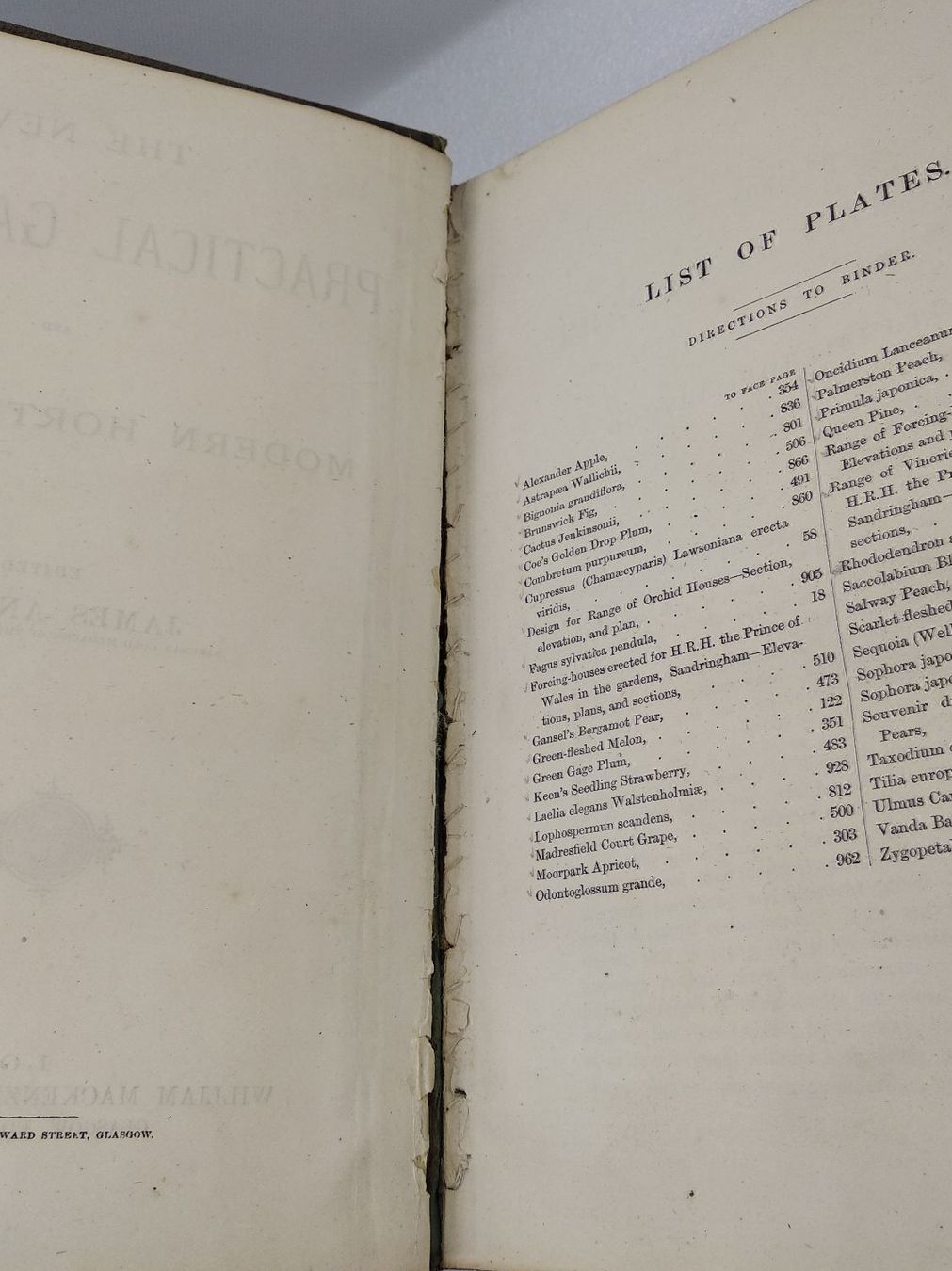 Libri: BOTANIK - THE NEW PRACTICAL GARDENER 1872 – Usato da Goldach venduto da Gaip 6