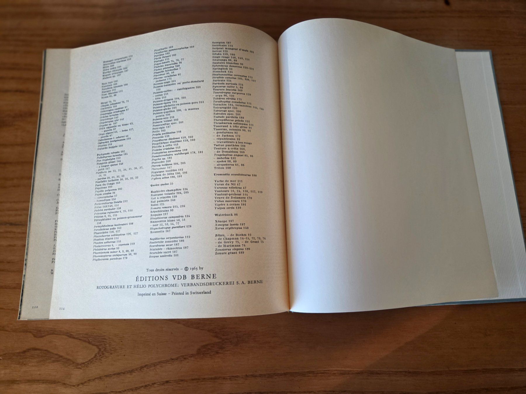 Libri: Parade animale du Continent noir 1963 VDB Berne – Usato da Aldesago venduto da lusuardi 9