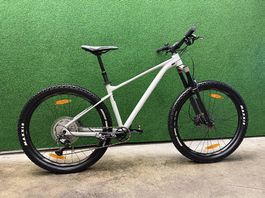 Neuwertig Giant Fathom Mountainbike