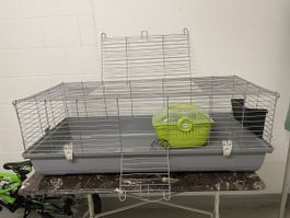 Käfig für Meerschweinchen von AniOne