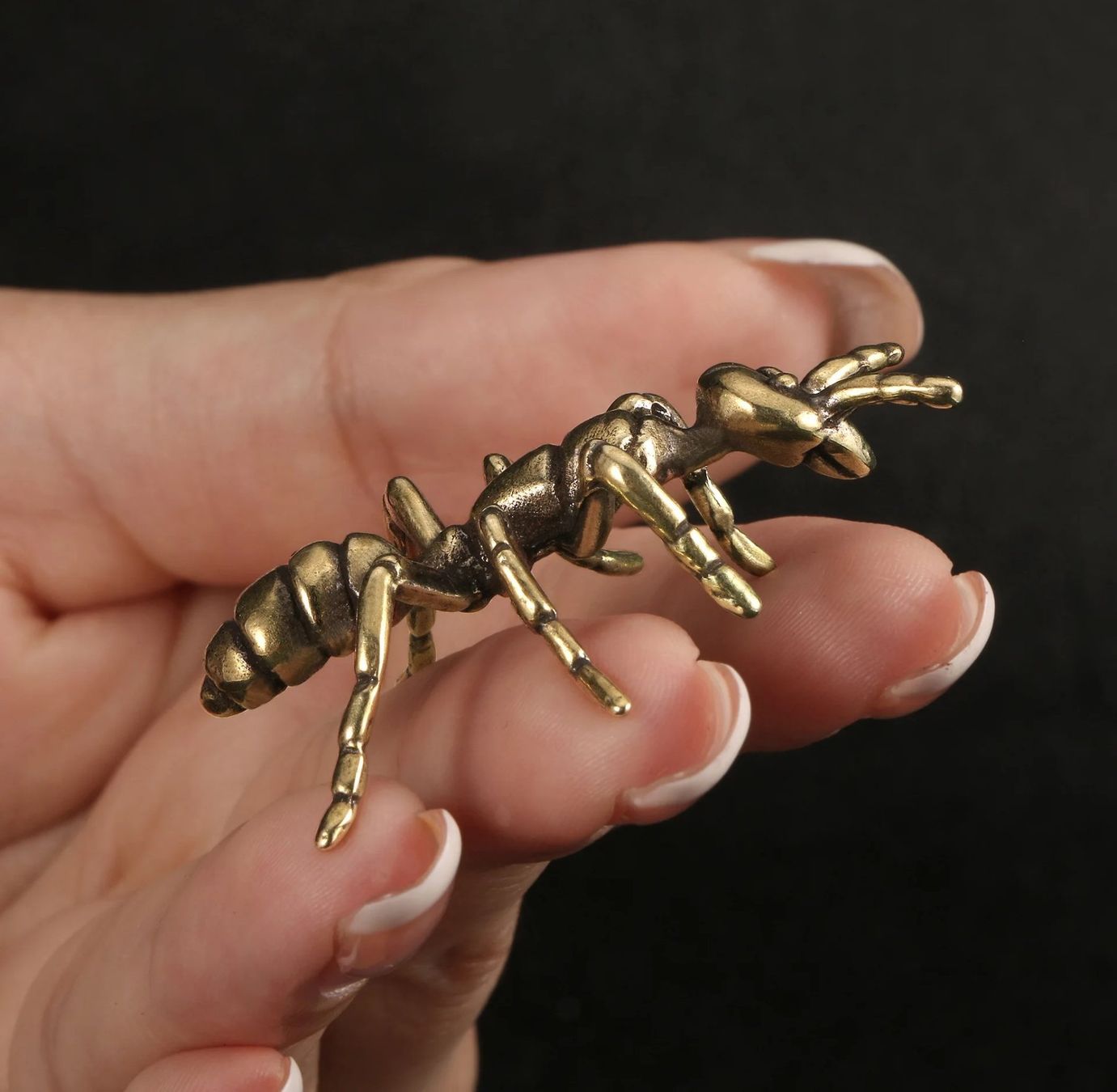 Statuette: Ameise aus Messing – Nuovo (secondo la descrizione) da Uerkheim venduto da Kaufoption