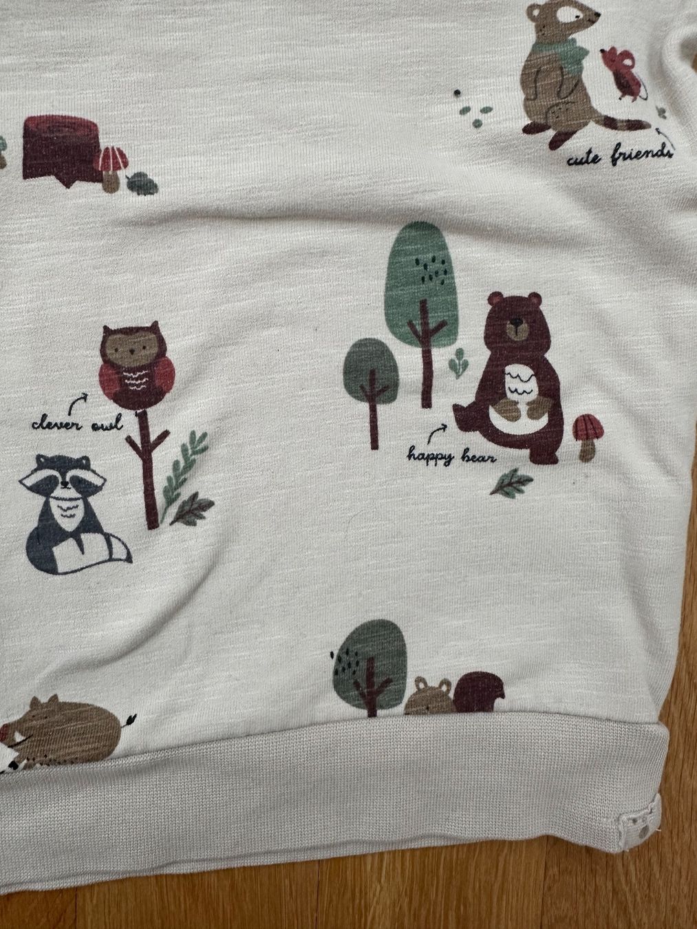 Maglioni & Felpe: Süsser Pullover mit Waldtier-Motiv, Grösse 92 – Nuovo (secondo la descrizione) da Unterägeri venduto da StefanGekko 2