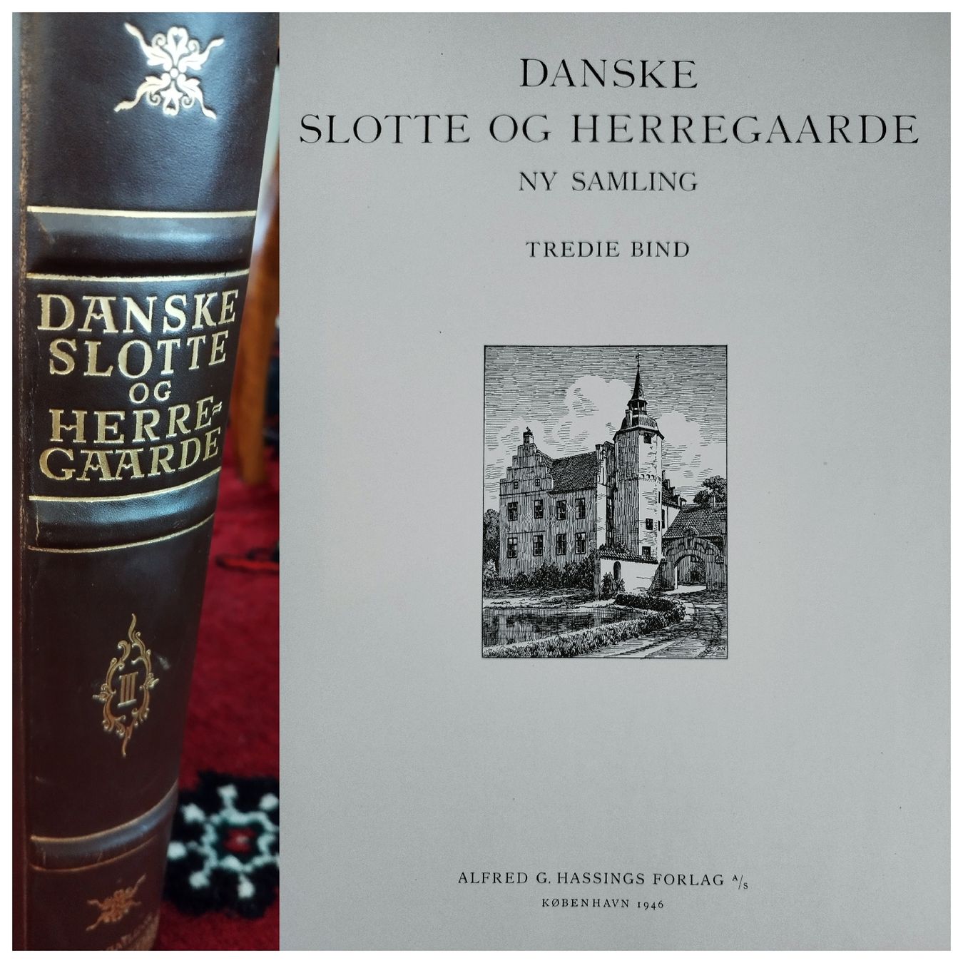 Album: Dänische Schlösser und Herrensitze – Usato da Walkringen venduto da ani_6bgd 3