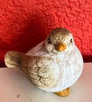 Süsser Klein-Vogel für den Frühling, Neu