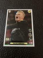 Panini FIFA 365 2021 Erling Haaland BVB Nr 8 Dortmund
