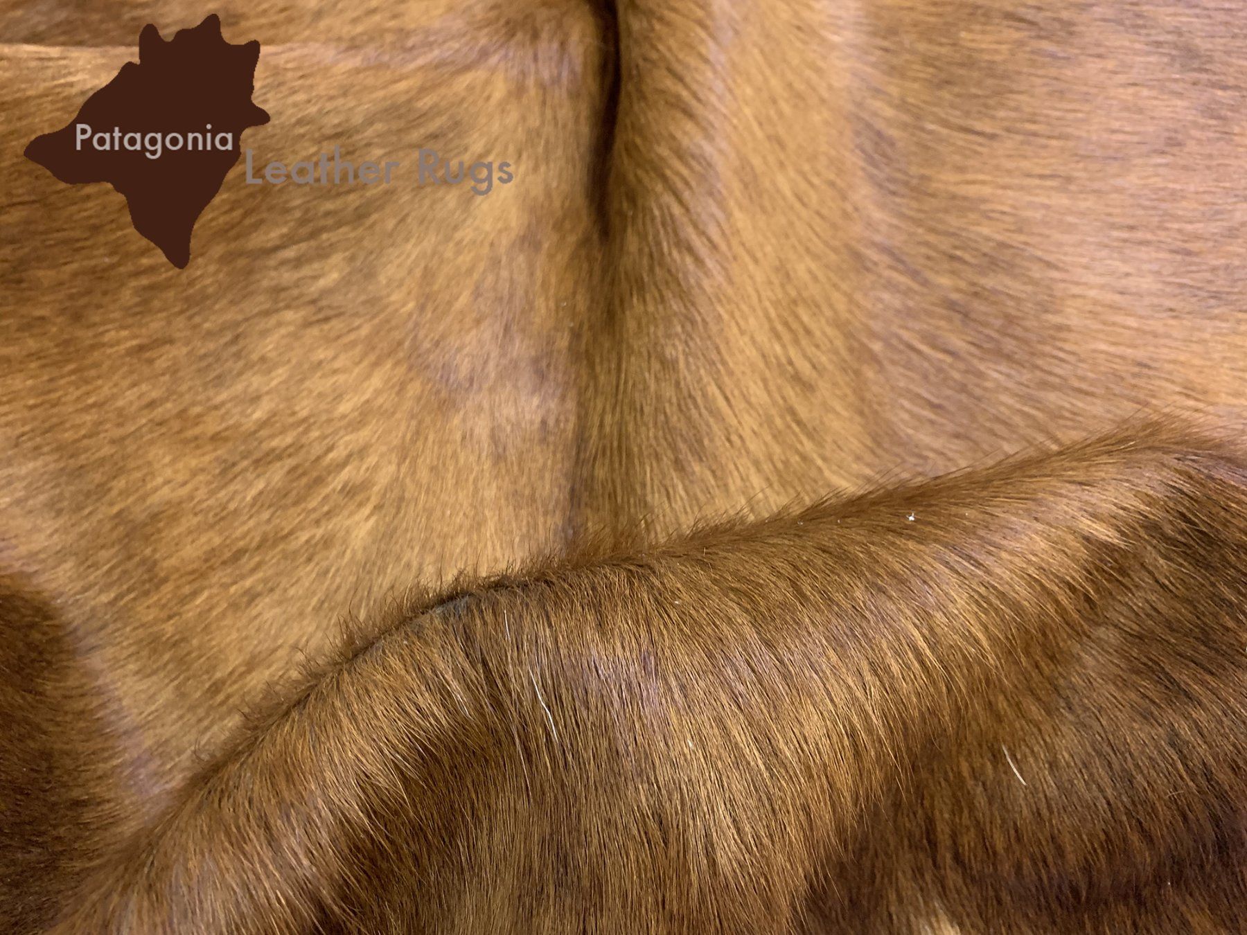 Teppiche: echtes Kuhfell Teppich exotic tricolor – Neu und originalverpackt aus Arbedo von patagonialeatherrugs 4